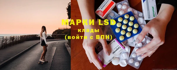 PSILOCYBIN Аркадак