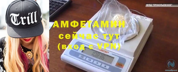 PSILOCYBIN Аркадак