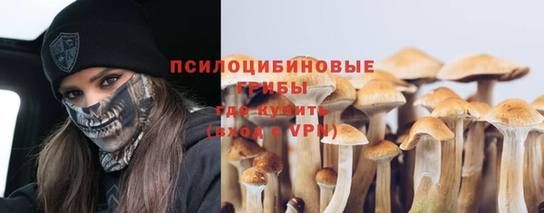 PSILOCYBIN Аркадак