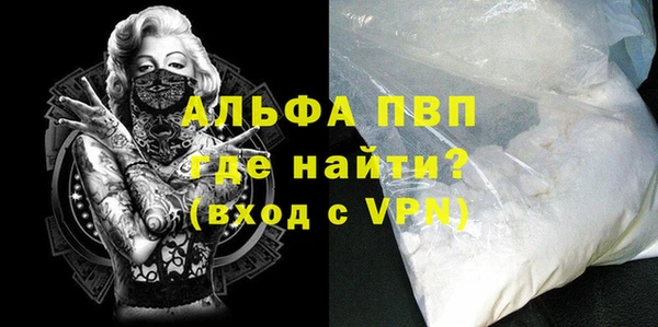 PSILOCYBIN Аркадак