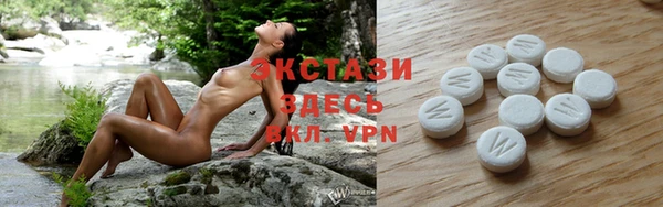 PSILOCYBIN Аркадак