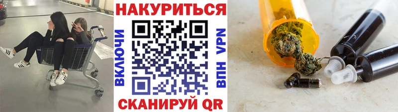 Конопля OG Kush Ахтубинск